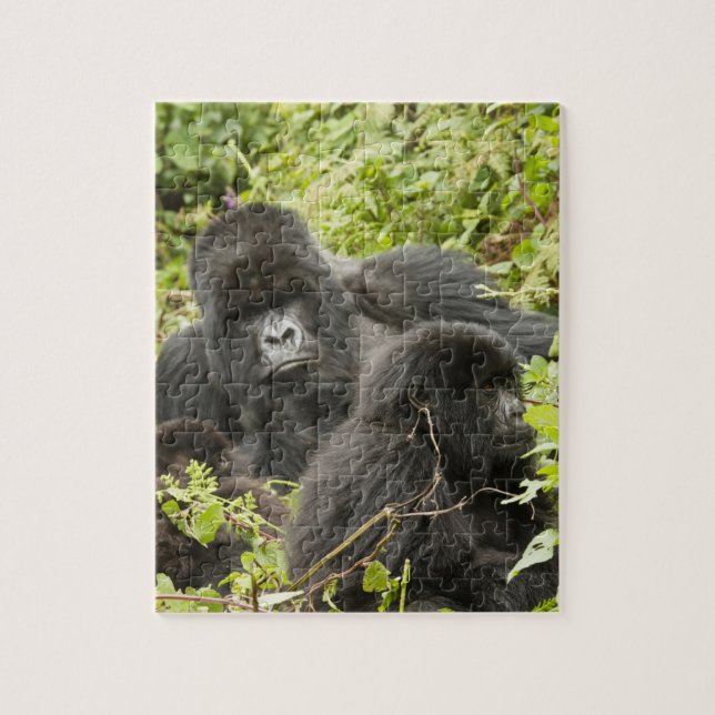 Rwanda, Volcanoes National Park Jigsaw Puzzle (Vertical)