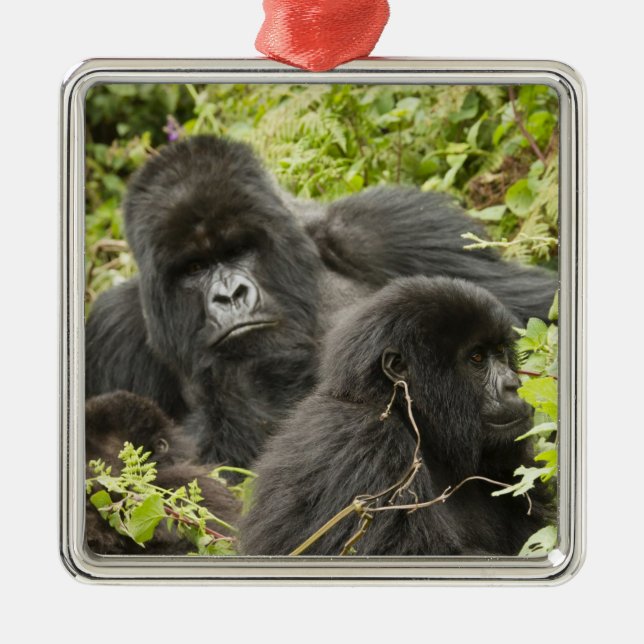 Rwanda, Volcanoes National Park Metal Ornament (Front)