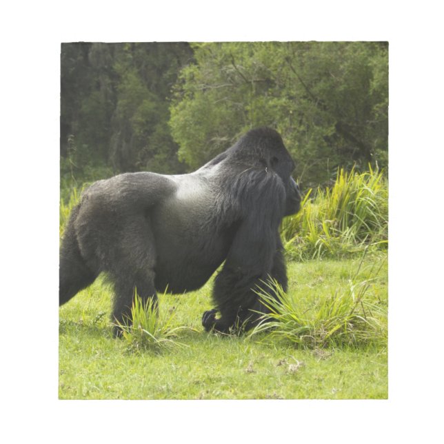 Rwanda, Volcanoes National Park Notepad (Front)