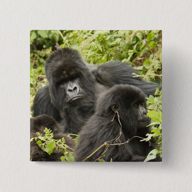 Rwanda, Volcanoes National Park Pinback Button (Front)