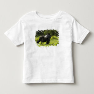 Rwanda, Volcanoes National Park Toddler T-shirt