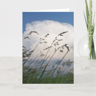 "Rye and Sky" Photo Card