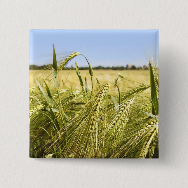 Rye Grain Botanical Nature Pinback Button (Front)