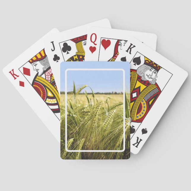 Rye Grain Botanical Nature Poker Cards (Back)