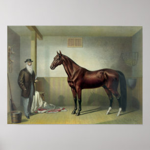 Rysdyk's Hambletonian - 1876 Poster