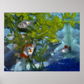 Aquarium Fish Posters, Aquarium Fish Prints, Art Prints, Poster Designs