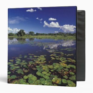 S.A., Brazil, Waterways in Pantanal 3 Ring Binder