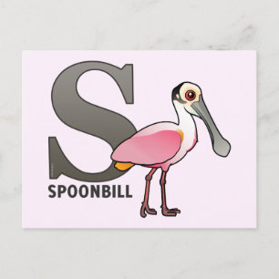 S is for Spoonbill Postcard