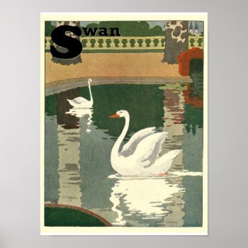 S Is For Swans Alphabet Letter Poster by kidslife at Zazzle