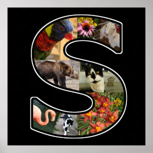 S Monogram Create Your Own 8 Photo Collage Black Poster