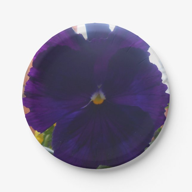 S PAPER PLATES (Front)