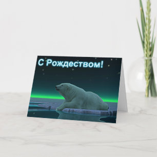 S Rozhdestvom - Ice Edge Polar Bear Holiday Card