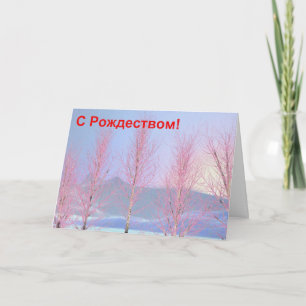 S Rozhdestvom - Raspberry Creme Birch Holiday Card