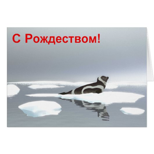 S Rozhdestvom - Ribbon Seal (Front Horizontal)