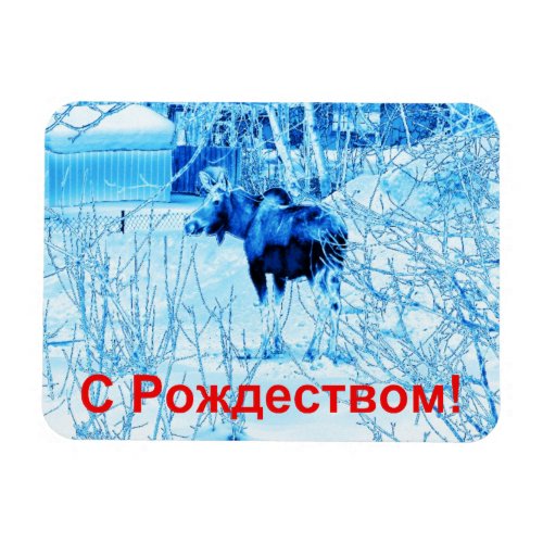 S Rozhdestvom _ Urban Moose Magnet