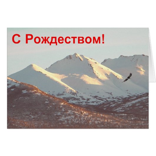 S Rozhdestvom - Winter Eagle Cards (Front Horizontal)