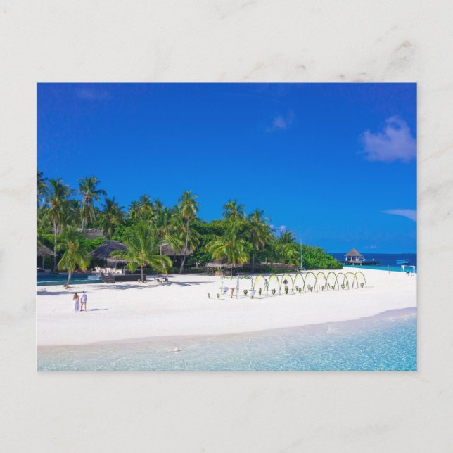 Sa beach postcard for all invatations (Front)