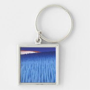SA, Chile, Coquimbo Region, Nieve Penitente; Keychain