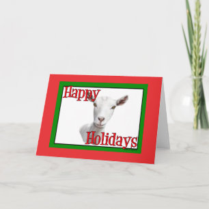 Saanen Goat Holiday Christmas