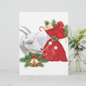 Saanen Goat With Holiday Spirit (Standing Front)