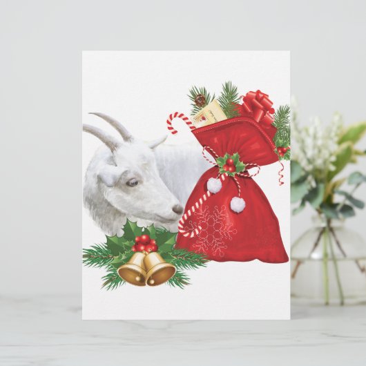 Saanen Goat With Holiday Spirit (Standing Front)