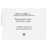SABA: Heliconia caribbaea Cards (Back Horizontal)