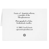 SABA: Jacquinia arborea Cards (Back Horizontal)