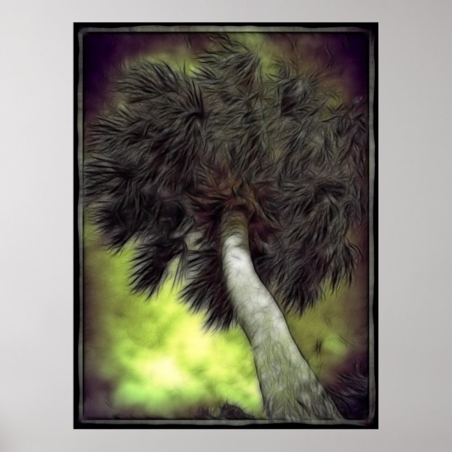 Sabal Palm2 Poster (Front)