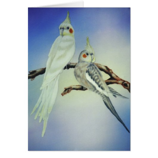 "Sabastian and Tootie-Ann" Cards (Front)