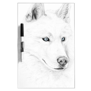 Saber A Siberian Husky Drawing Art Blue Eyes Dry Erase Board