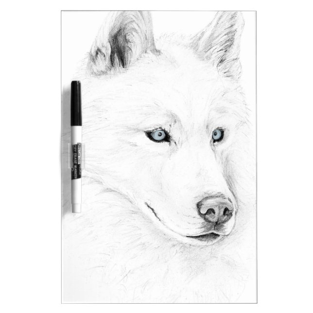 Saber A Siberian Husky Drawing Art Blue Eyes Dry Erase Board (Front)