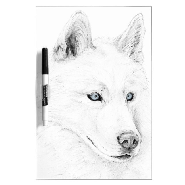 Saber A Siberian Husky Drawing Art Blue Eyes Dry-Erase Board (Front)