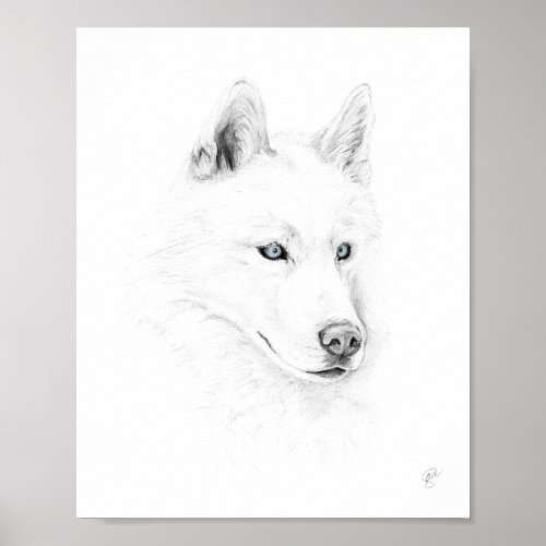 Saber A Siberian Husky Drawing Art Blue Eyes Poster