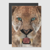 Saber Toothed Ttiger or Smilodon (Front/Back)