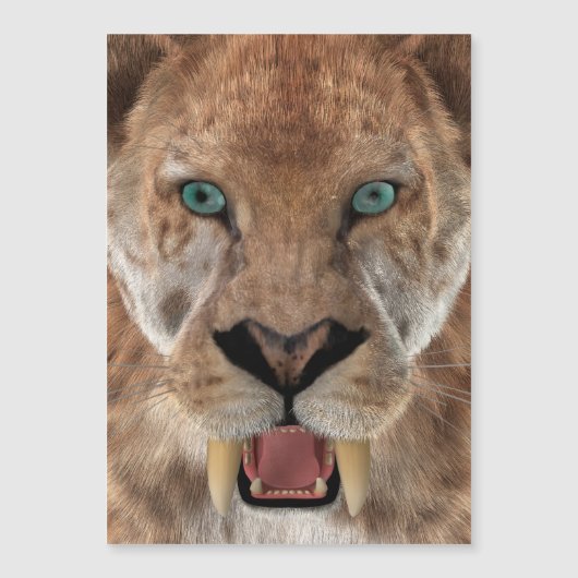 Saber Toothed Ttiger or Smilodon (Front)