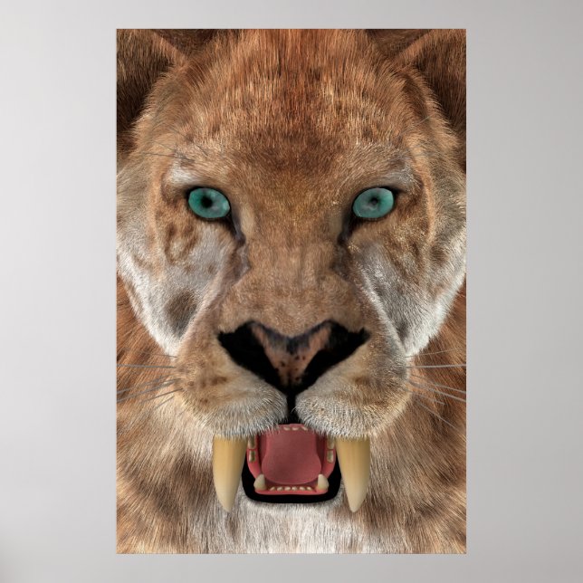 Saber Toothed Ttiger or Smilodon Poster (Front)