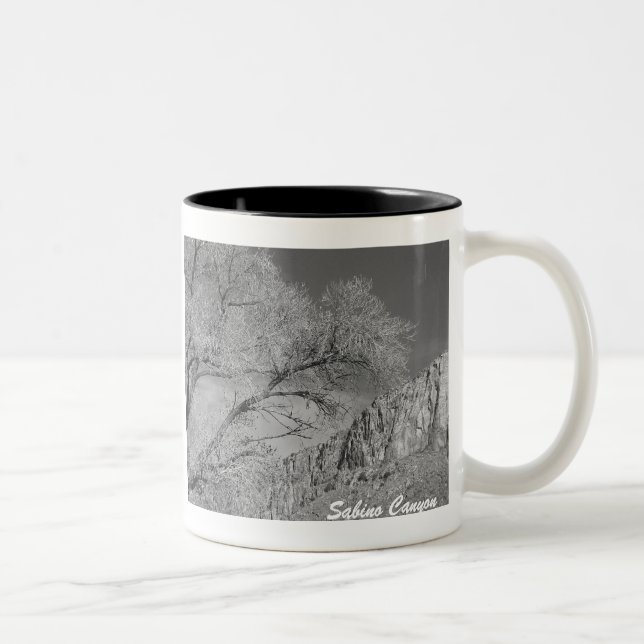 Sabino Canyon Acropolis Ridge B/W Mug (Right)