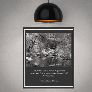 Sabino Canyon Creek Winter Scene Poster