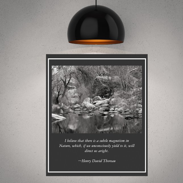 Sabino Canyon Creek Winter Scene Poster (Creator Uploaded)