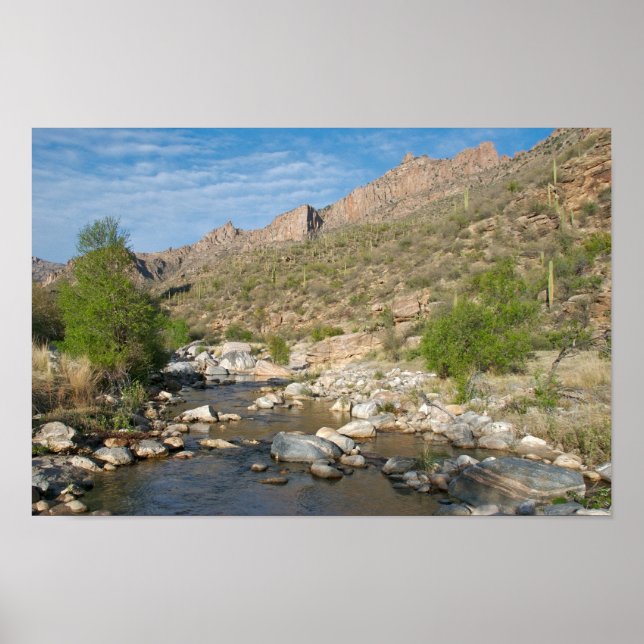 Sabino Canyon Evening Poster (Front)