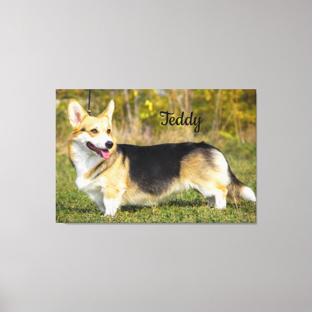 Sable Cardigan Welsh Corgi Dog Canvas Print (Front)