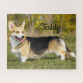 Cardigan Welsh Corgi Jigsaw Puzzle by JunkyDotCom