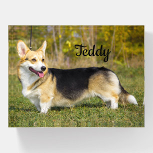 Sable Cardigan Welsh Corgi Dog Paperweight