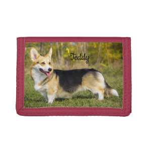 Sable Cardigan Welsh Corgi Dog Tri-fold Wallet