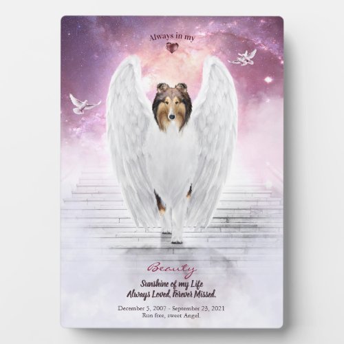 Sable Collie Angel in Heaven _ Pet Memorial Photo Plaque