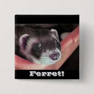 Sable Ferret Button