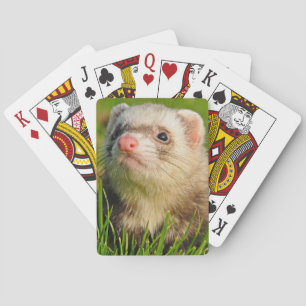 Sable Ferret in the Grass Poker Cards