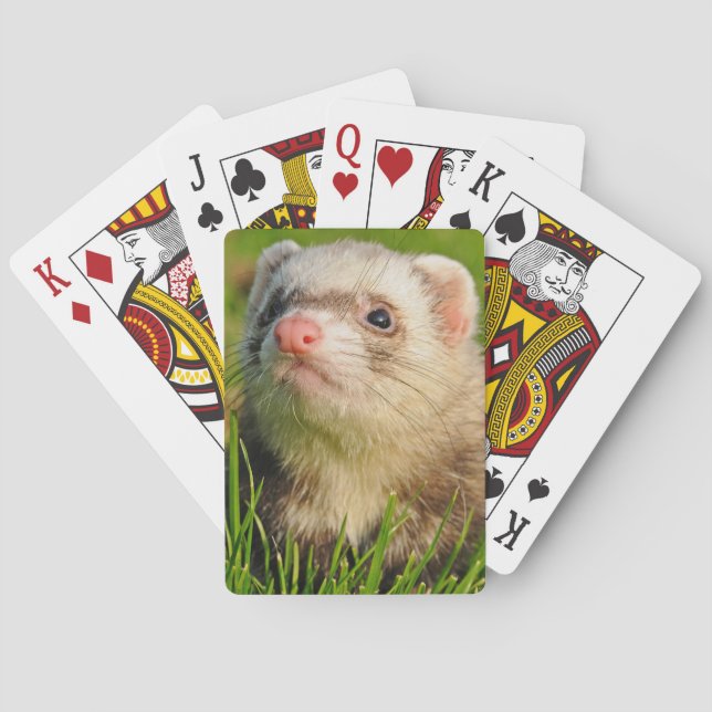 Sable Ferret in the Grass Poker Cards (Back)