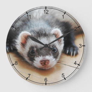Sable Ferret Large Clock