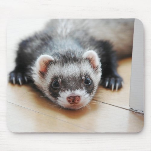 Sable Ferret Mouse Pad